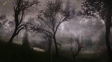 Dark Forests of Skyrim SE