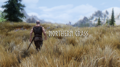 Northern Grass SE