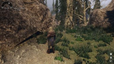 Skyrim Landscape and Water Fixes