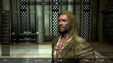 Player Rotation in ShowRaceMenu