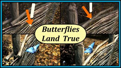 Butterflies Land True - Russian