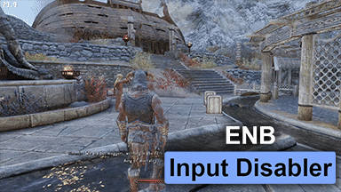 ENB Input Disabler